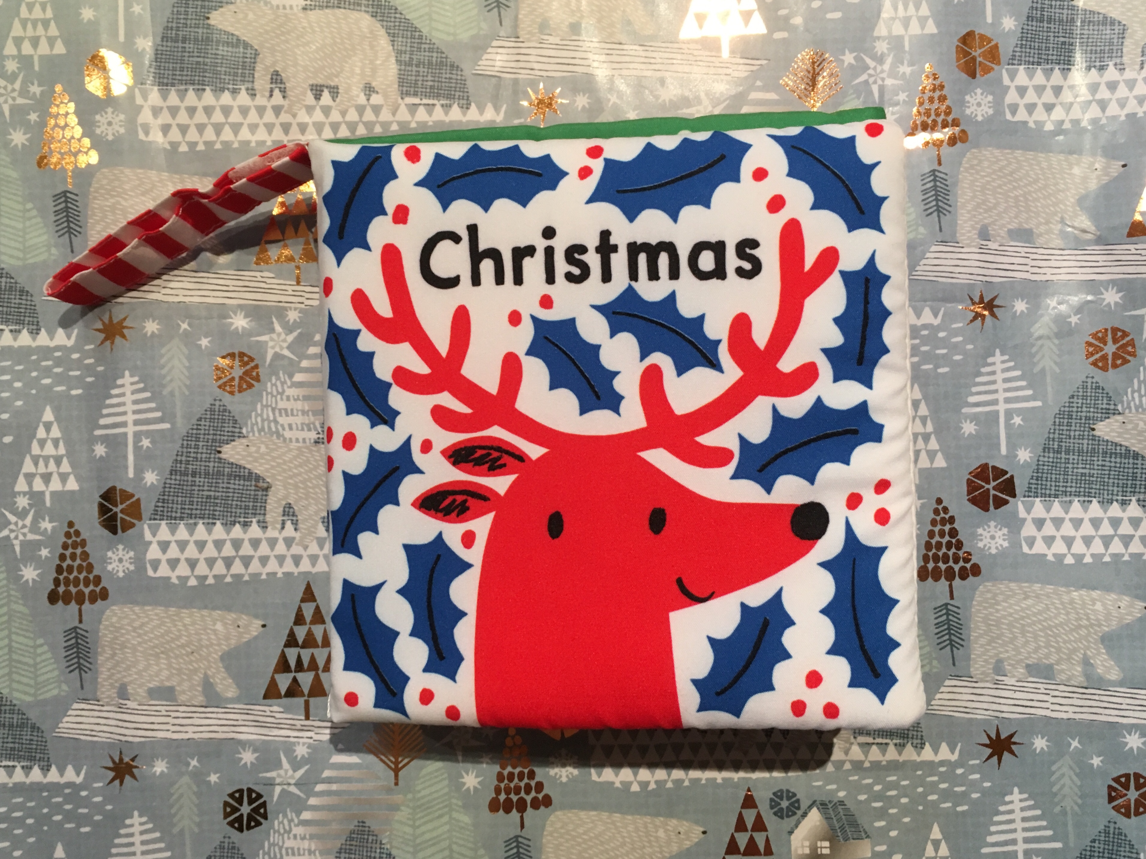 A Tiny Little Story: Christmas by Lisa Jones and Edward Underwood