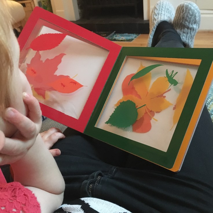 A Pile of Leaves by Jason Fulford and Tamara Shopsin.